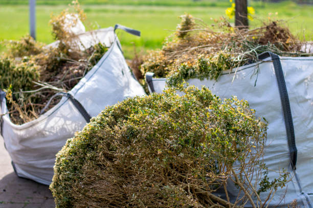 Best Dumpster Rental Services  in Buckeye, AZ