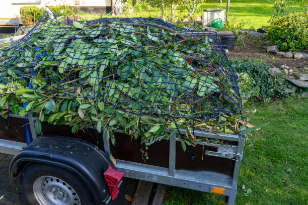 Trusted Buckeye, AZ Junk Removal Services Experts